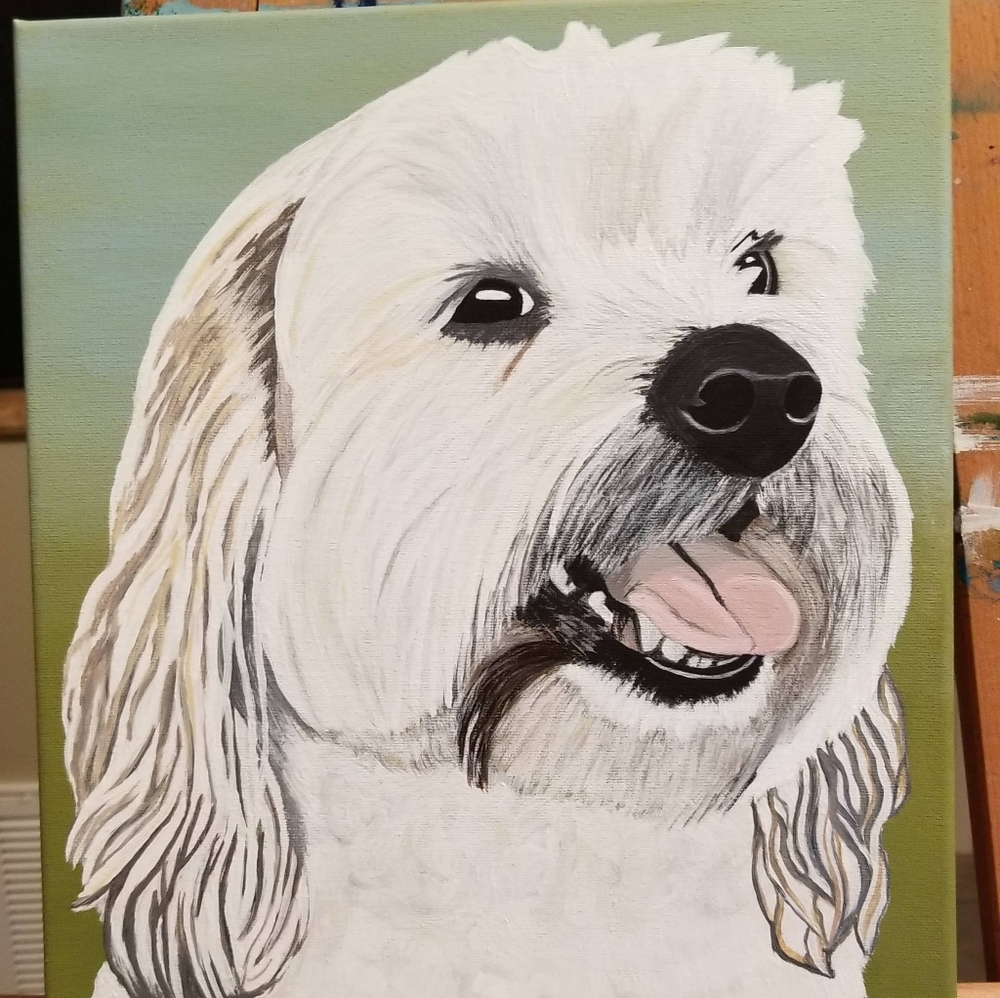 Custom pet portraits